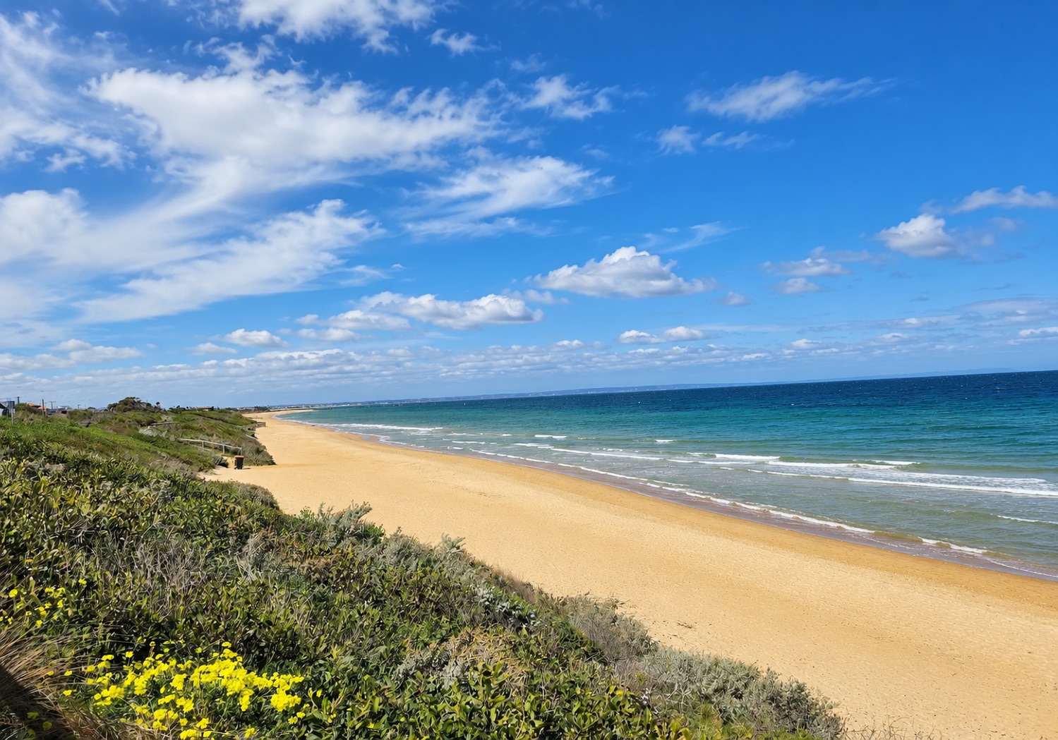 Mordialloc beach shoreline with sandy dunes and Port Phillip Bay under a blue sky